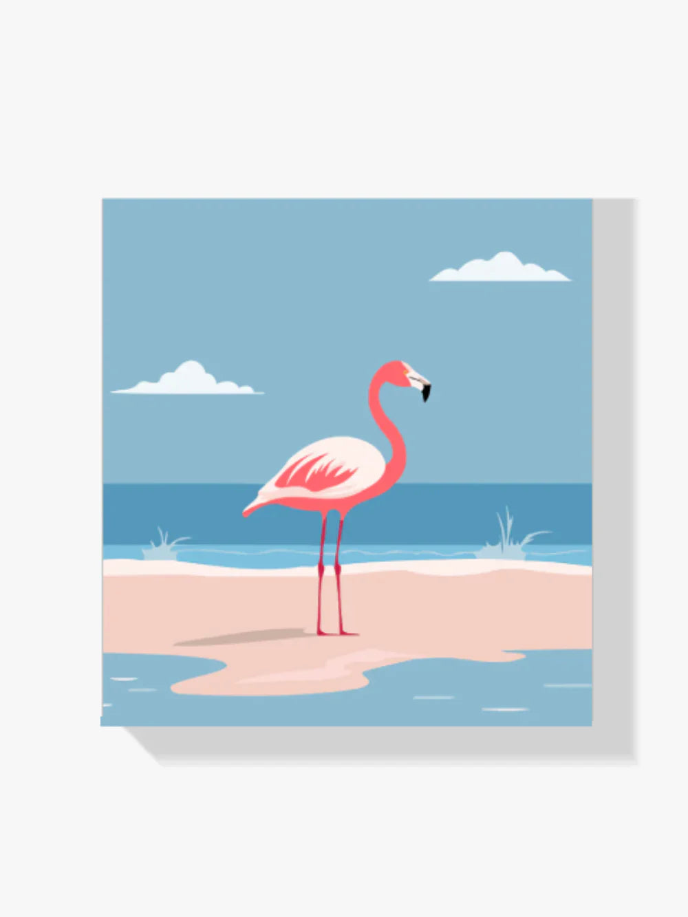 Flamingo