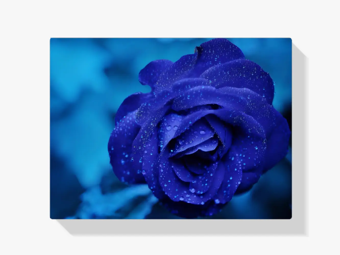 Diamond Painting Schöne blaue Rose