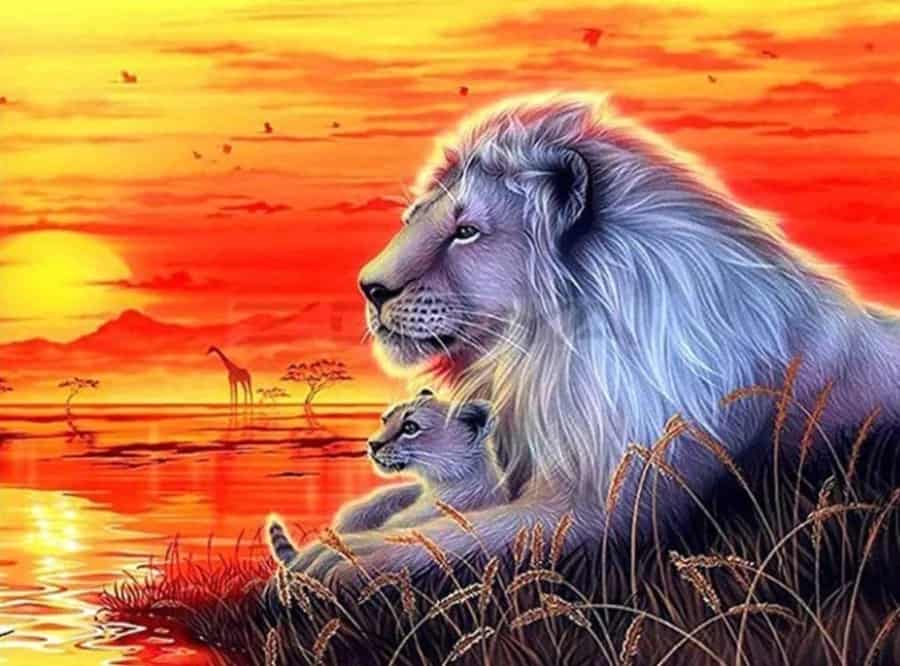 Diamond Painting Löwen bei Sonnenuntergang