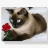 Diamond Painting Braune Katze mit Rose