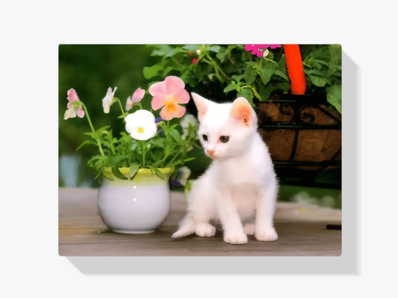 Diamond Painting Weiße Katze mit Blumen in Vase