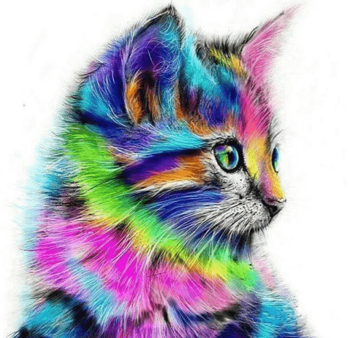 Katze in verschiedenen Farben