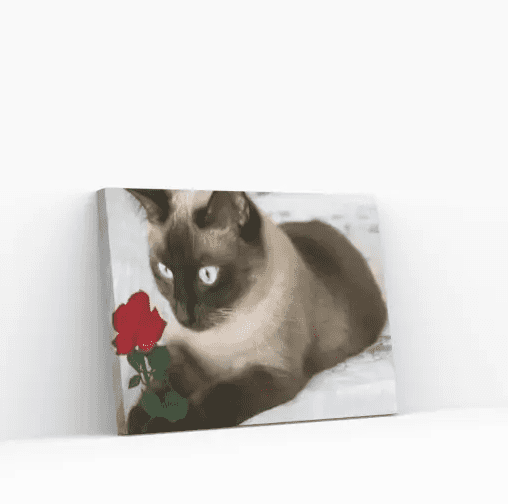 Diamond Painting Braune Katze mit Rose