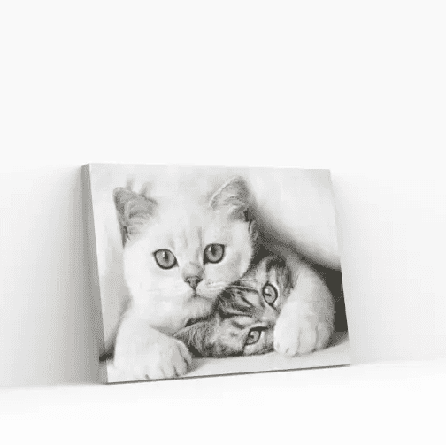 Diamond Painting Süße Kätzchen