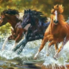 Diamond Painting Pferde im meer