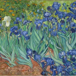 Diamond Painting Schöne Blumen Van Gogh