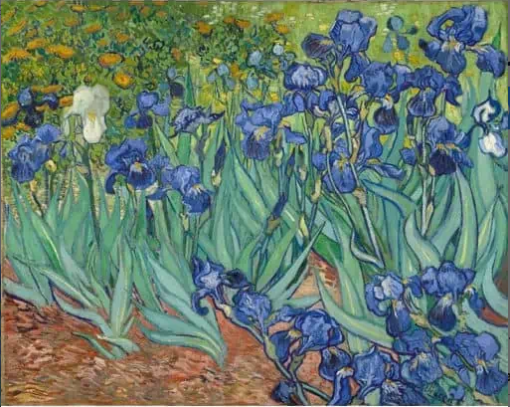 Diamond Painting Schöne Blumen Van Gogh