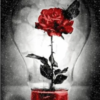 Diamond Painting Rose in Lampe