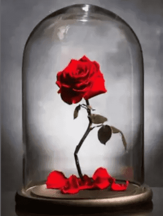 Diamond Painting Rose in Vase