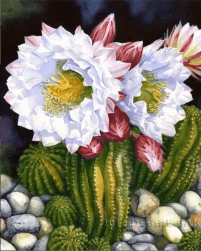 Diamond Painting Kaktus Blumen