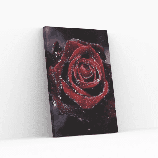 Diamond Painting Rote Rose