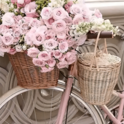 Blumen auf dem Fahrrad