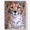 Diamond Painting Cheeta