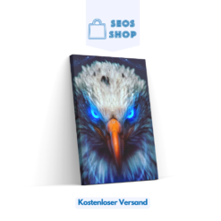 Diamond Painting XXL Weißkopfseeadler mit blauen Augen – SEOS Shop ®