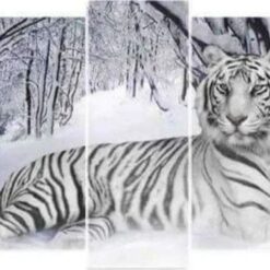 Diamond Painting Tiger 5 Teile