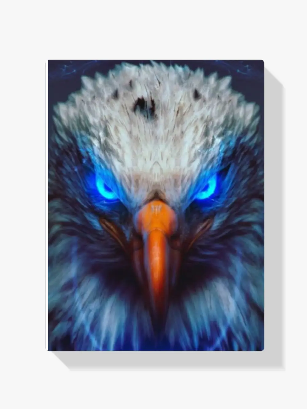 Diamond Painting XXL Weißkopfseeadler mit blauen Augen