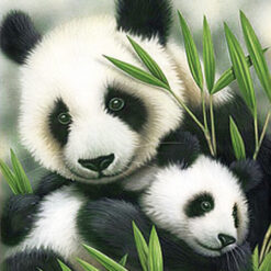 5D Diamond Painting Pandas und Blumen – SEOS Shop ®