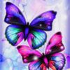 5D Diamond Painting Bunter Schmetterling – SEOS Shop ®