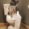5D Diamond Painting Hund liest in Buch – SEOS Shop ®