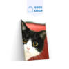 5D Diamond Painting Katze schwarz und weißes Gesicht – SEOS Shop ®
