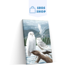 5D Diamond Painting Weiße Eulen – SEOS Shop ®