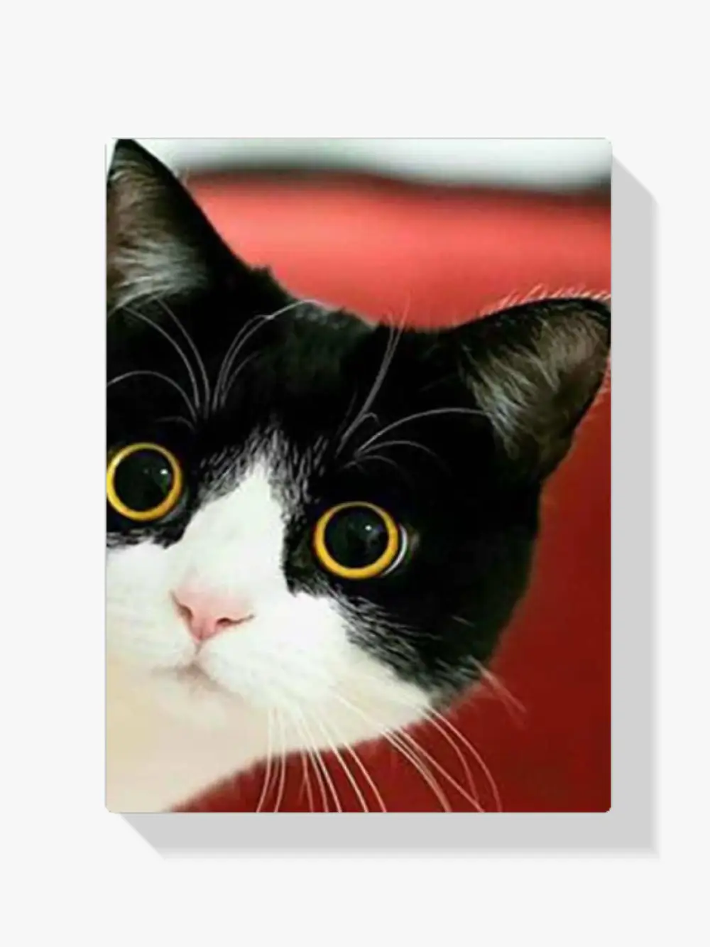 5D Diamond Painting Katze schwarz und weißes Gesicht
