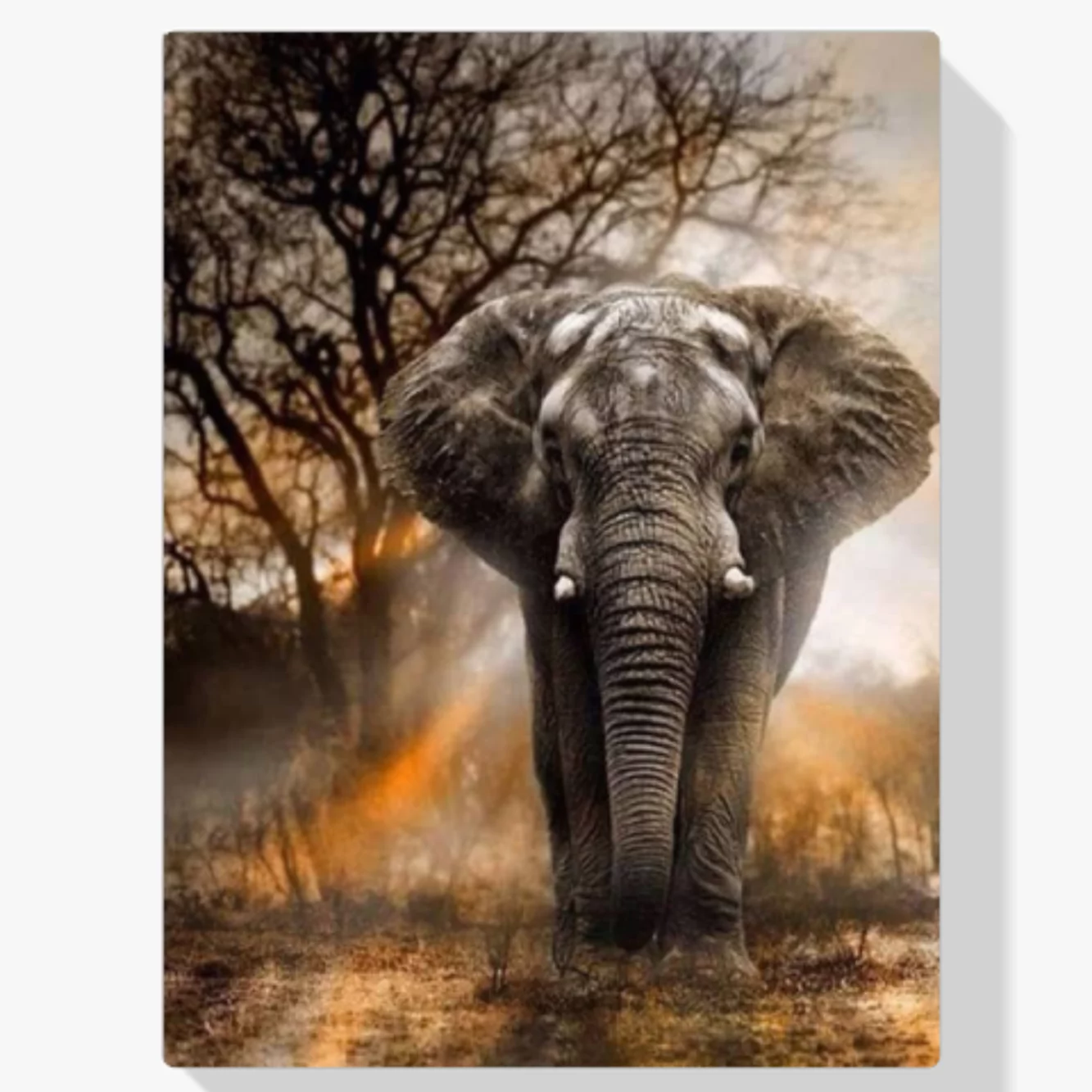 5D Diamond Painting Elefant