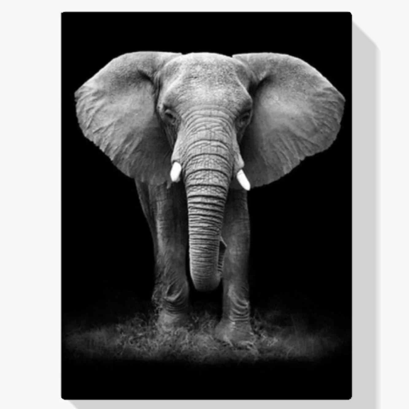 5D Diamond Painting Elefant