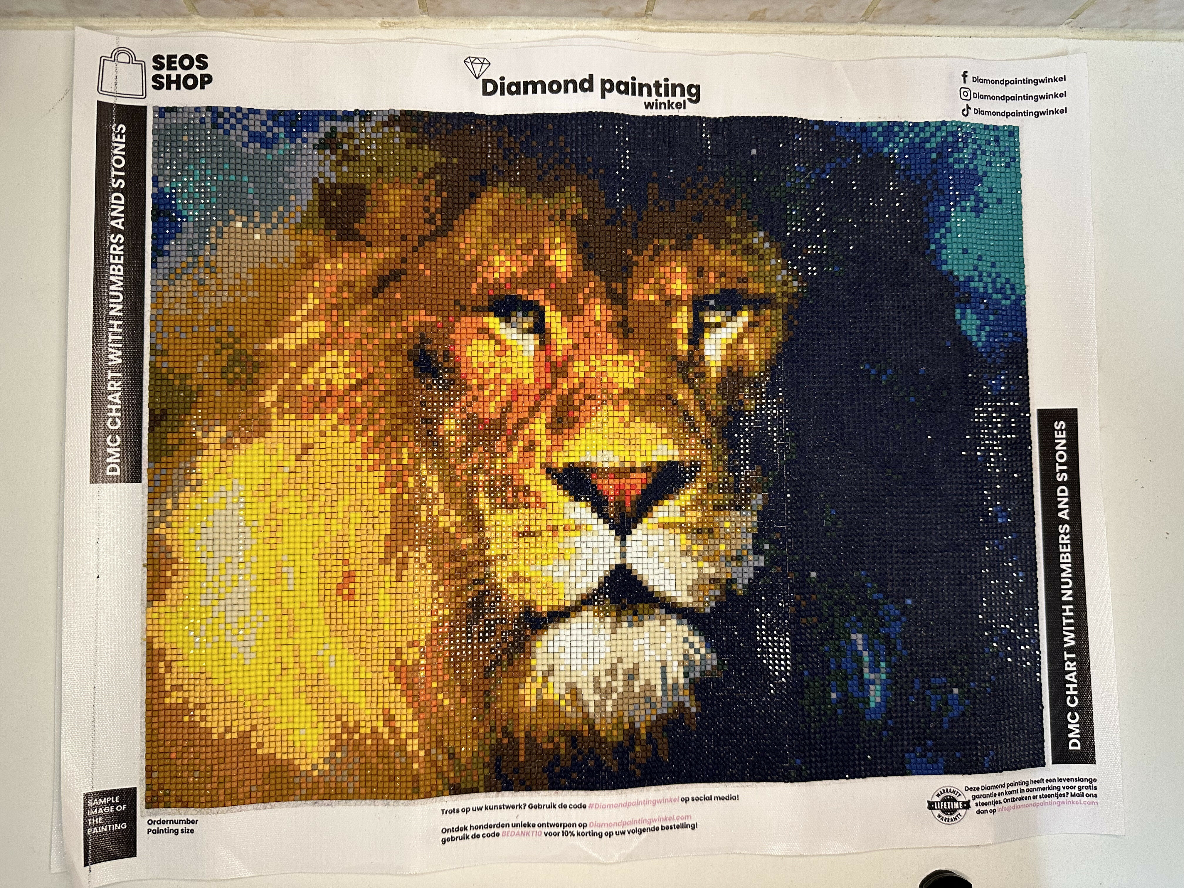 Diamond painting gekleurde leeuw afgerond e1701987288448