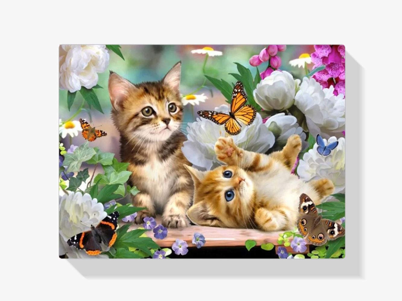 Katze - Schmetterling Diamond Painting
