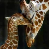 Mama Giraffe mit ihrem Baby Diamond Painting