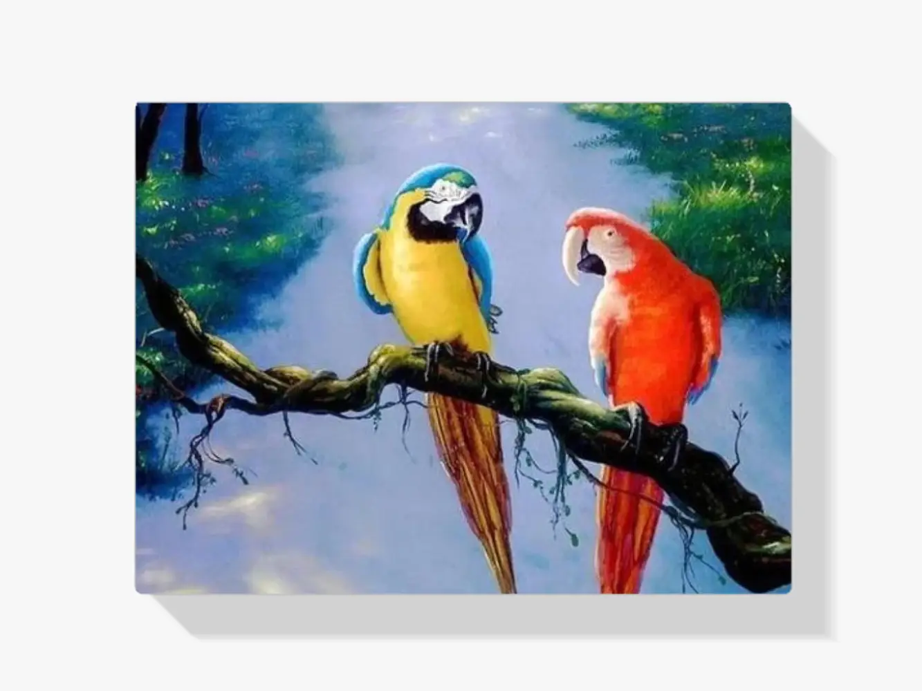 Zwei Papageien in einem Baum Diamond Painting