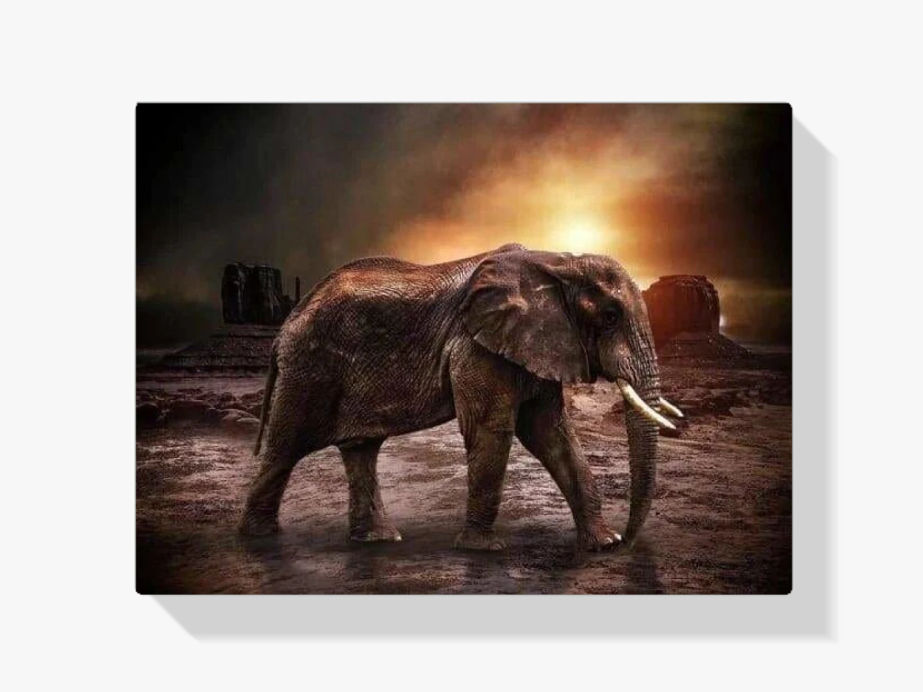 Alter Elefant in Bewegung Diamond Painting