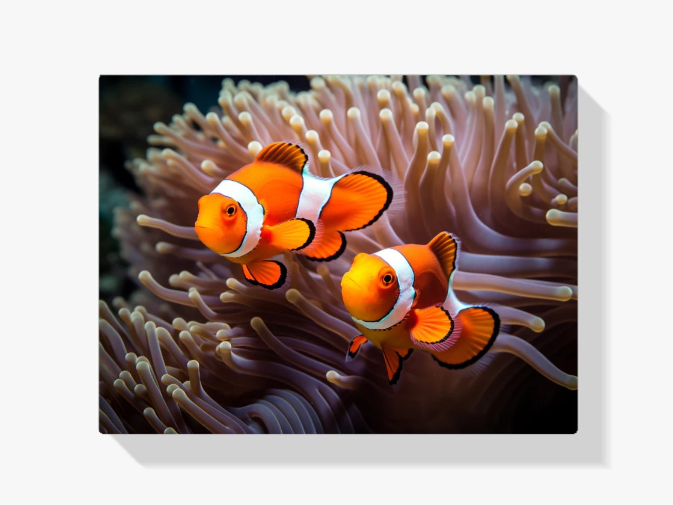 Clownfisch - Nemo Diamond Painting
