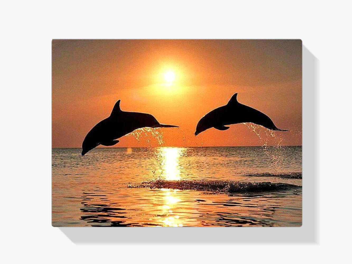 Delfine bei Sonnenuntergang Diamond Painting