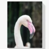 Der elegante Flamingo Diamond Painting