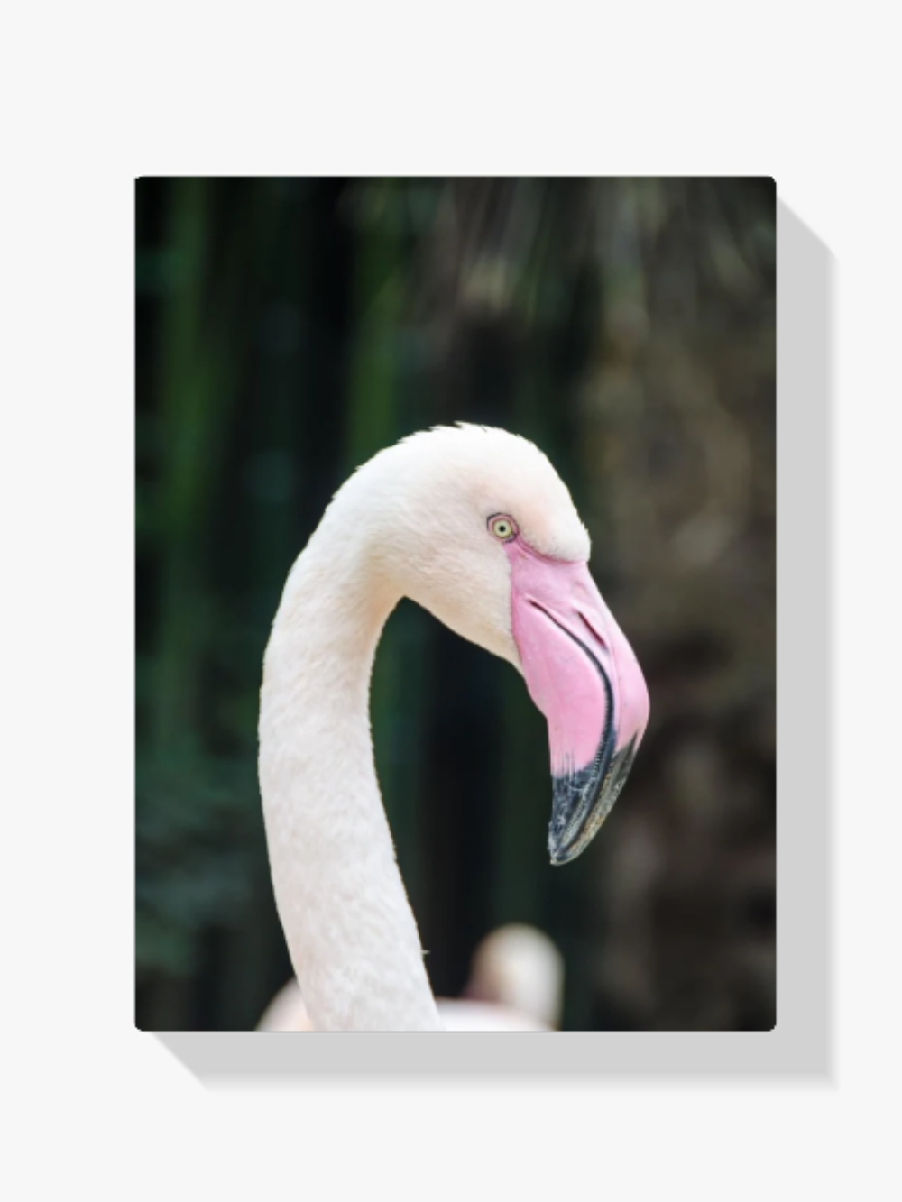 Der elegante Flamingo Diamond Painting