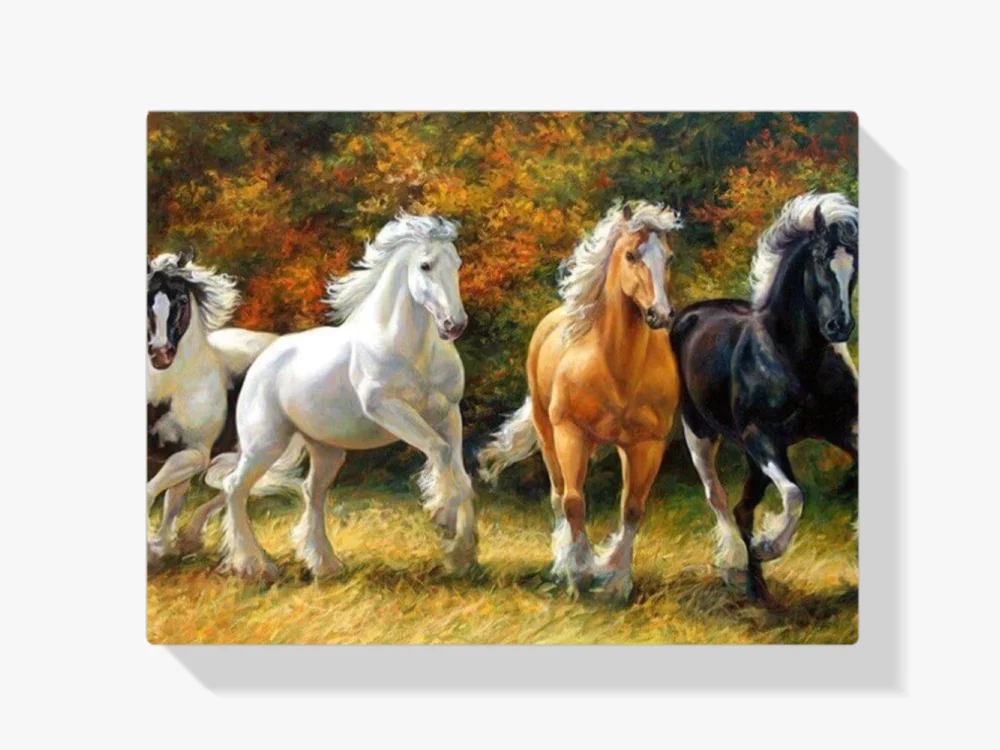 Die schönen farbigen Pferde Diamond Painting