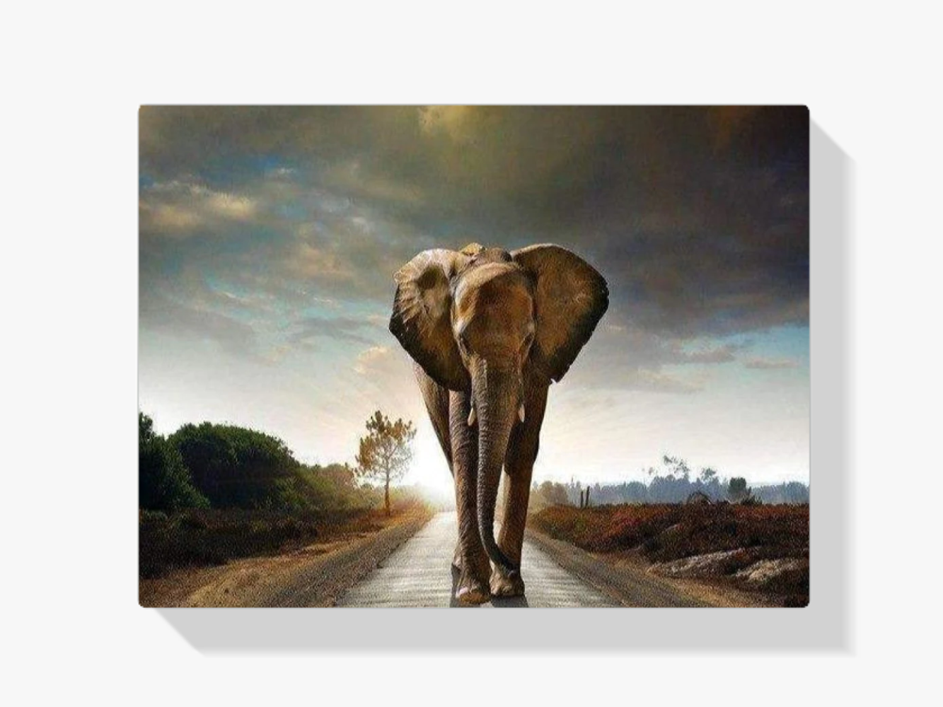 Elefant auf der Straße Diamond Painting