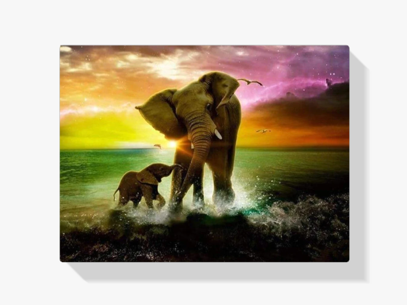 Elefant im Meer Diamond Painting