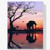 Elefanten-Sonnenuntergang Diamond Painting