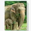 Elefantenmutter mit ihrem Kleinen Diamond Painting