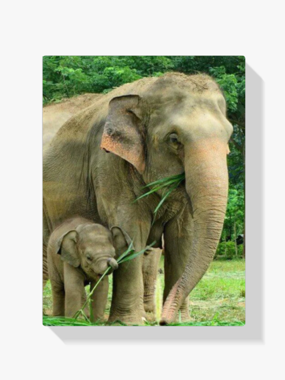 Elefantenmutter mit ihrem Kleinen Diamond Painting