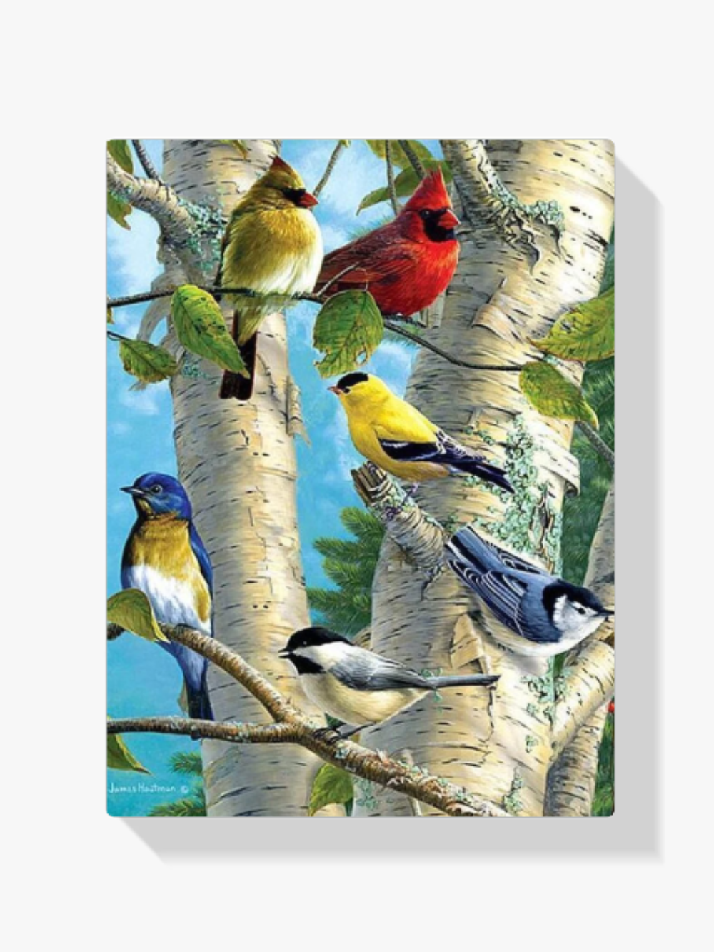 Farbige Vögel im Baum Diamond Painting