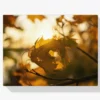 Herbstblatt in der Sonne Diamond Painting
