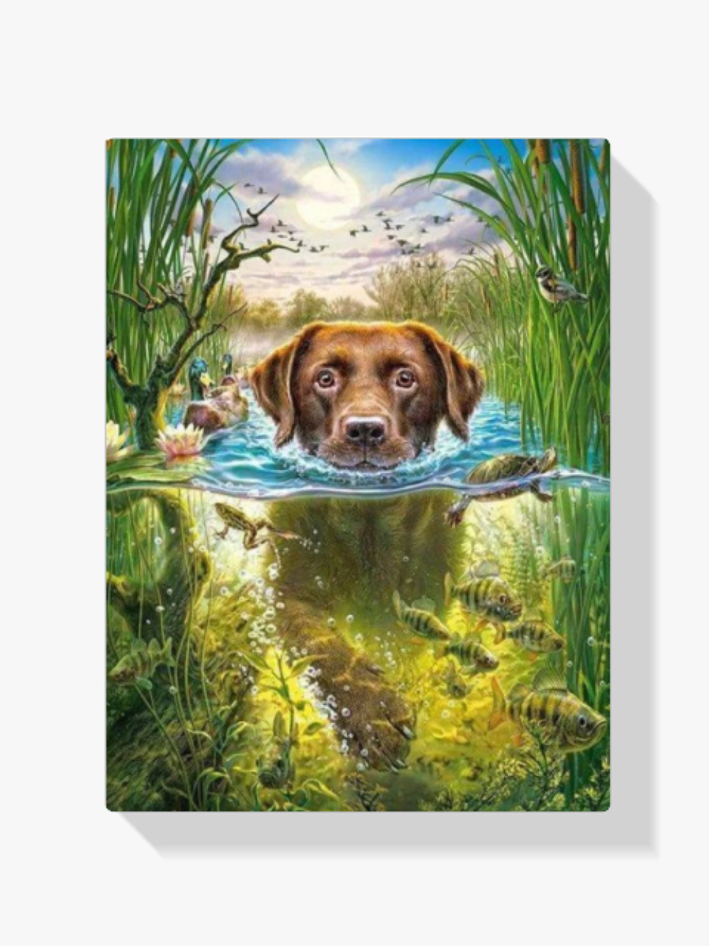 Hund fröhlich durchs Wasser Diamond Painting