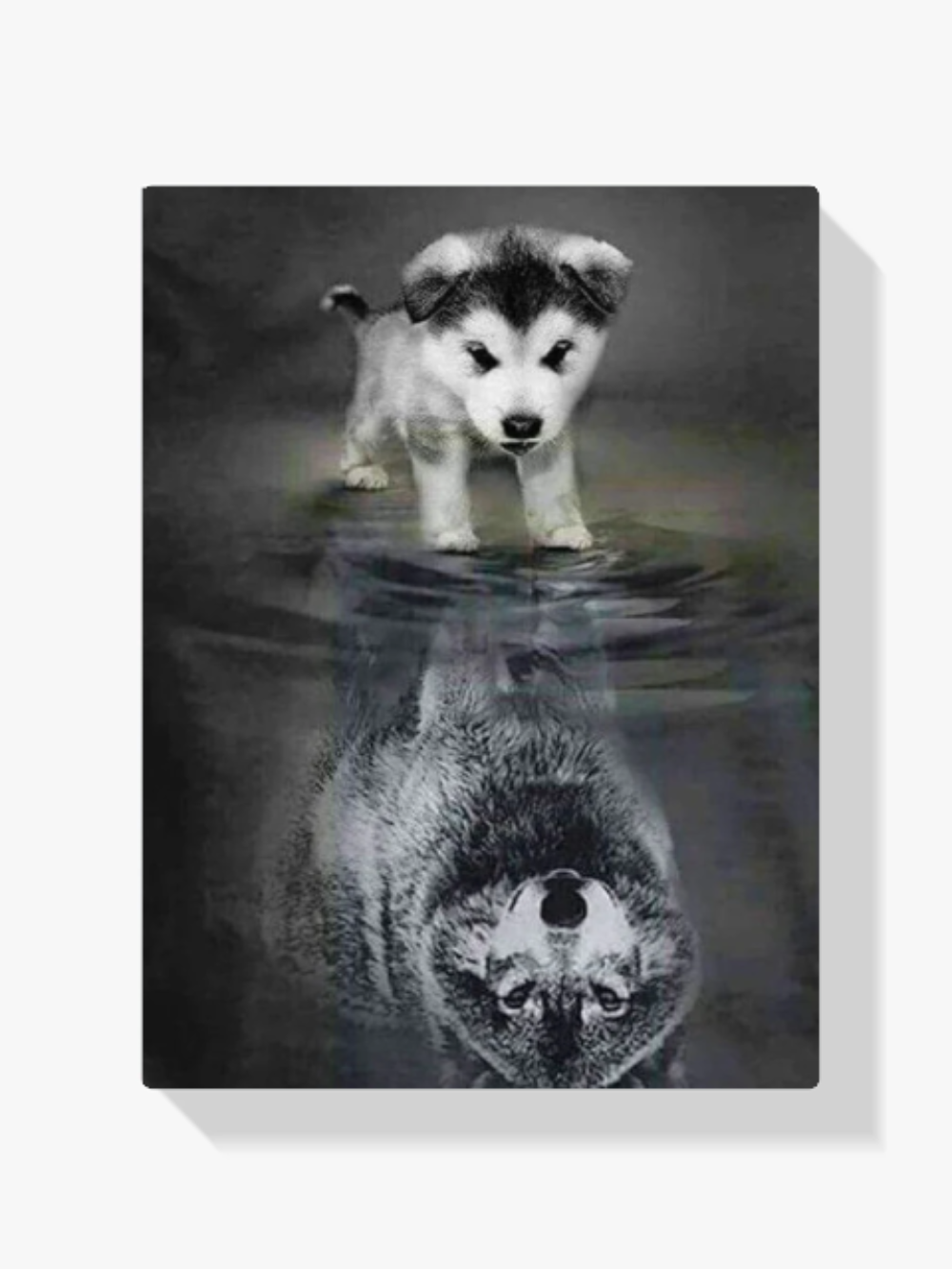 Hunde Wolf Spiegelung Diamond Painting