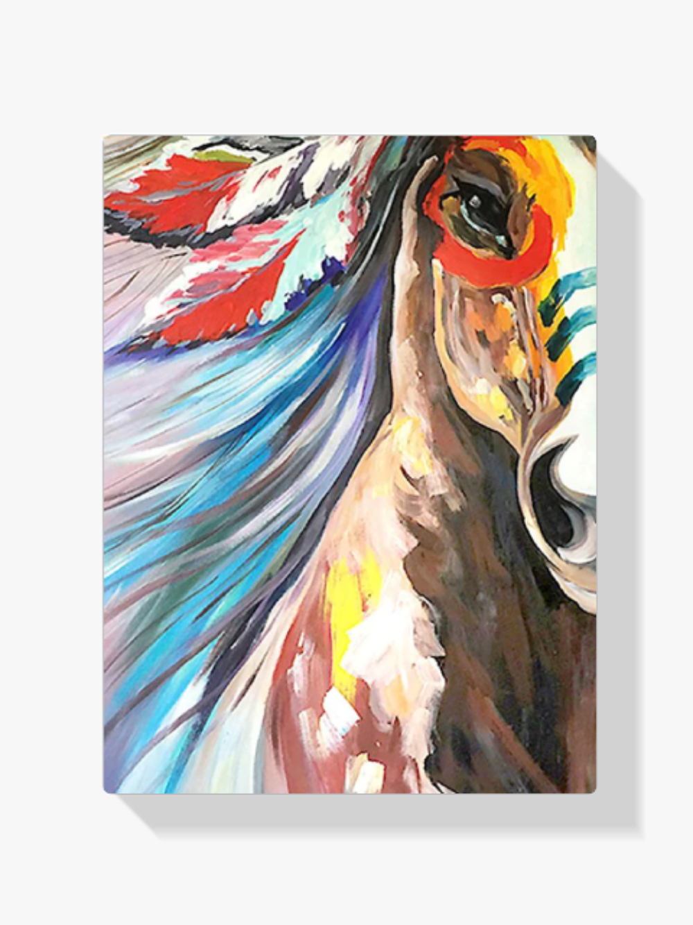Indianer Pferd Diamond Painting