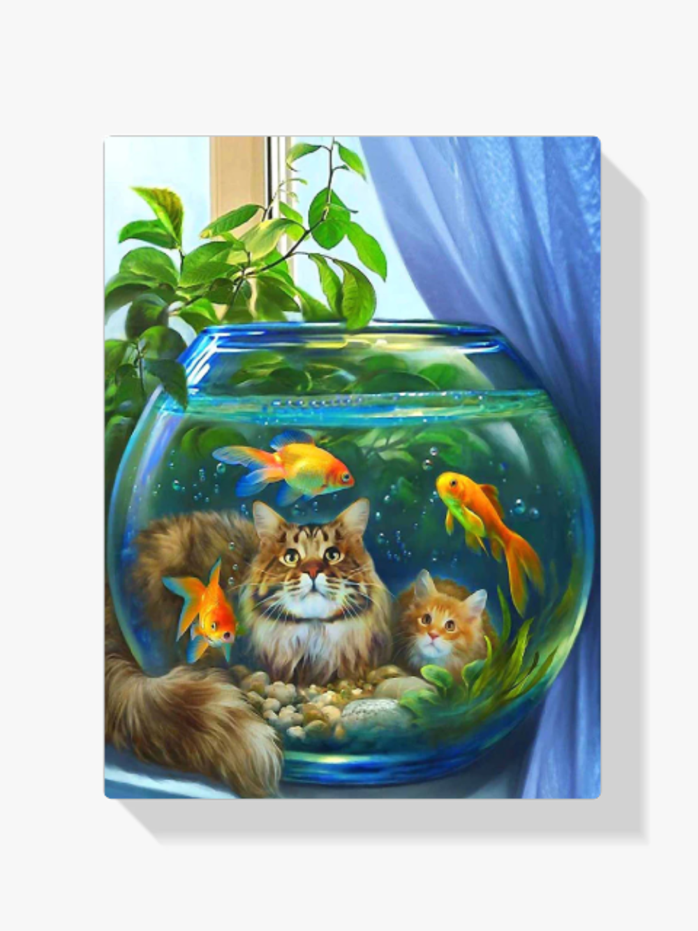 Katzen Im Fischglas Diamond Painting
