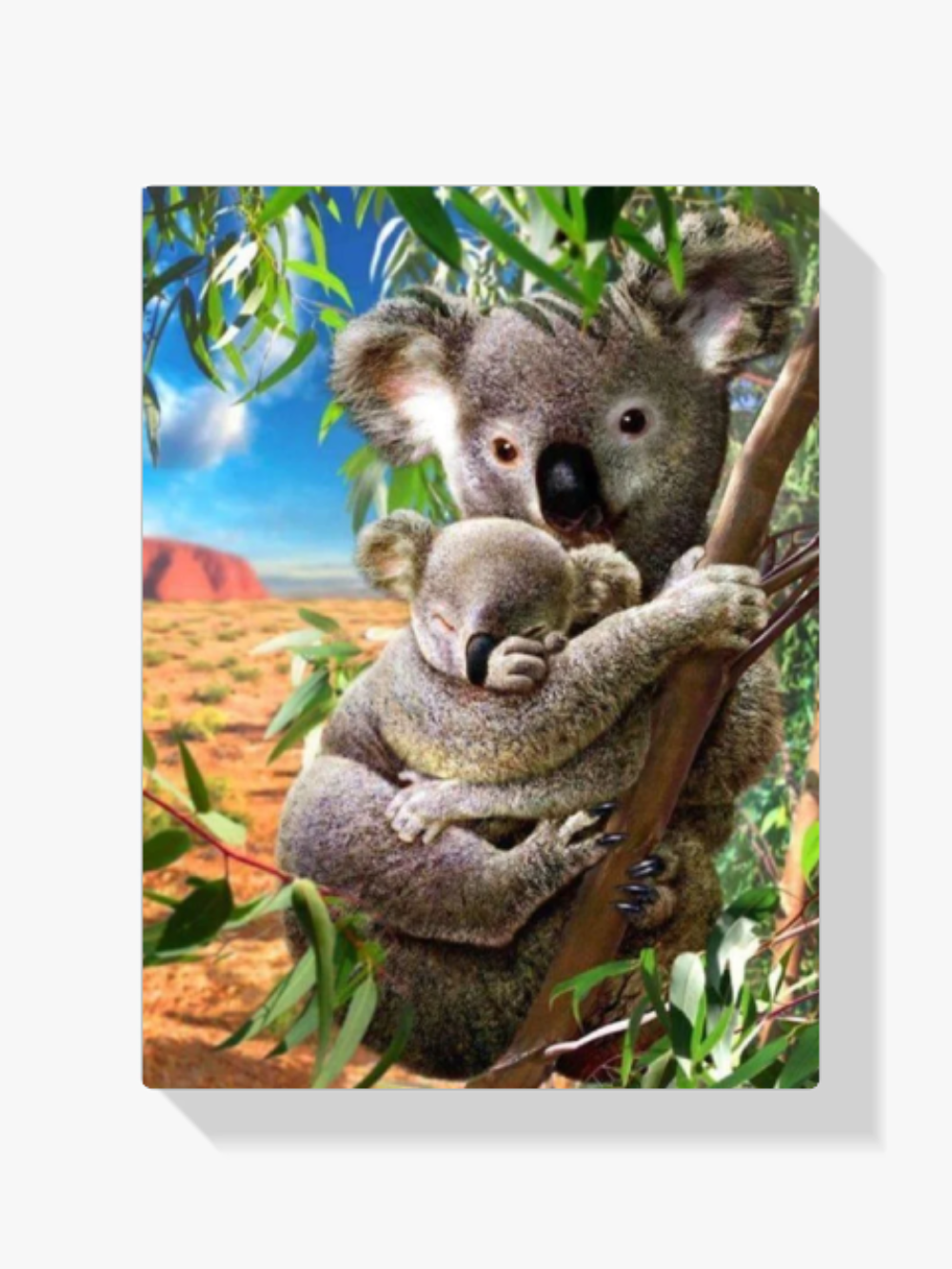 Koala-Bären Diamond Painting